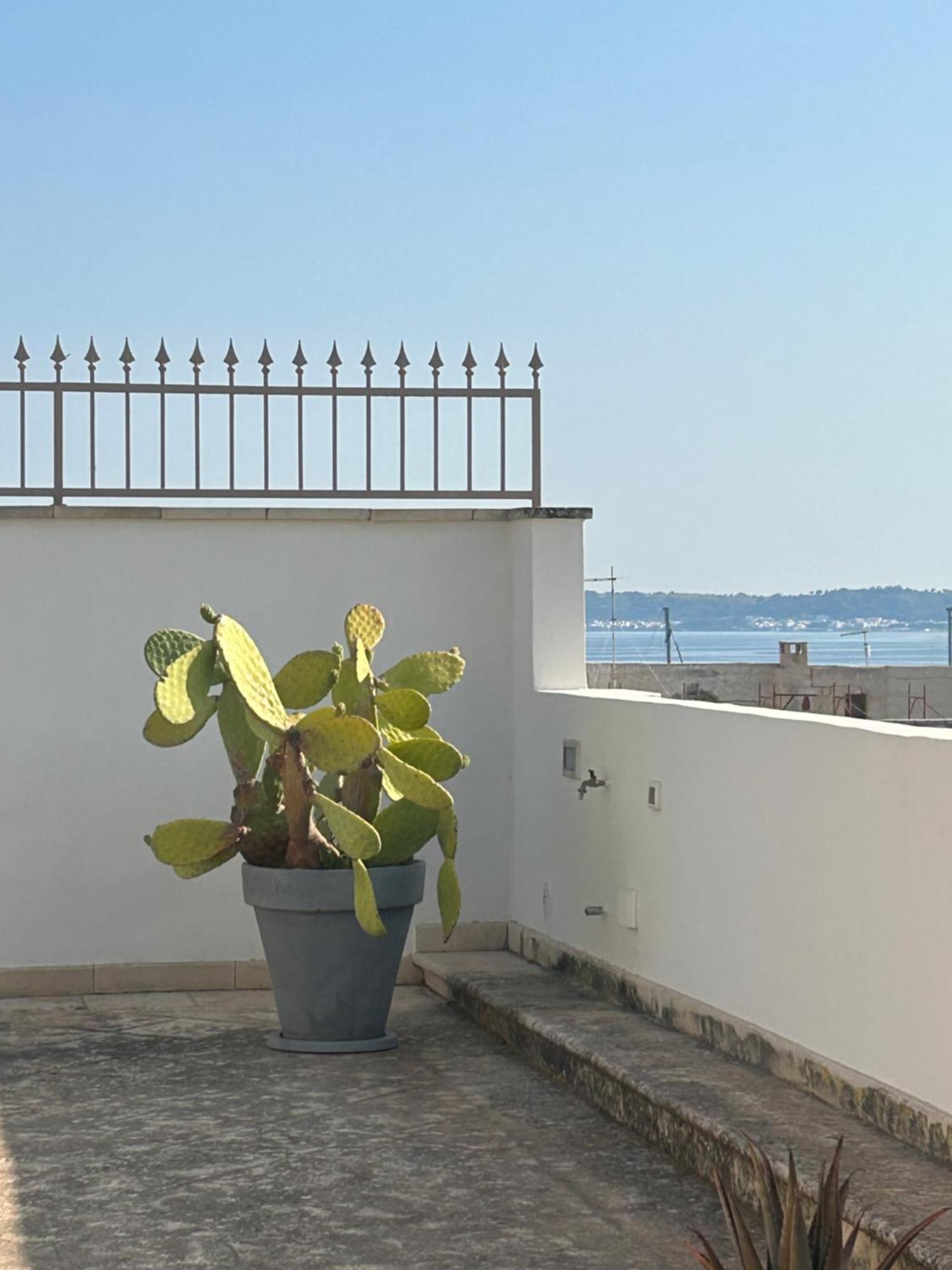 갈리폴리 Palazzo Angelelli B&B 외부 사진